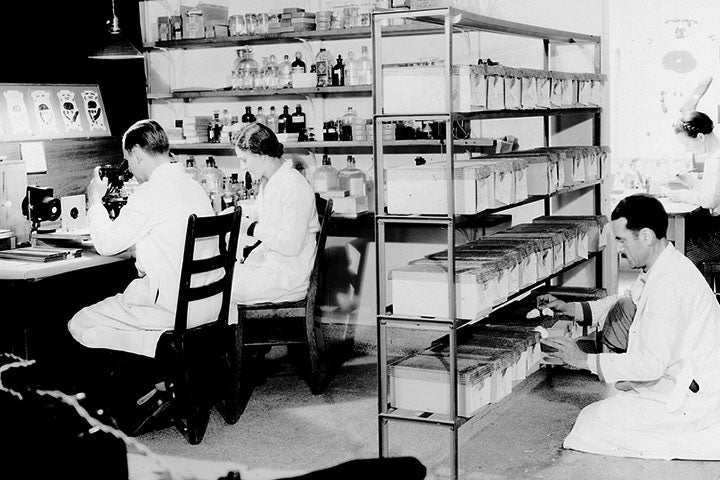 MacDowell in his mouse genetics lab