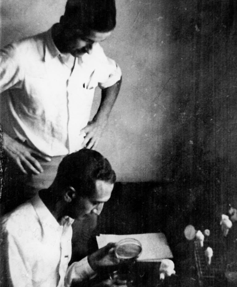 Max Delbrück and Salvador Luria