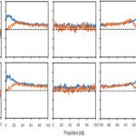 mononucleotide strand asymmetry