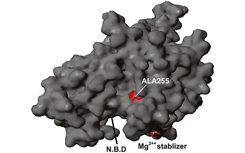 Collaboration column: A new gene-hunting strategy locates genetic cause of a rare disease