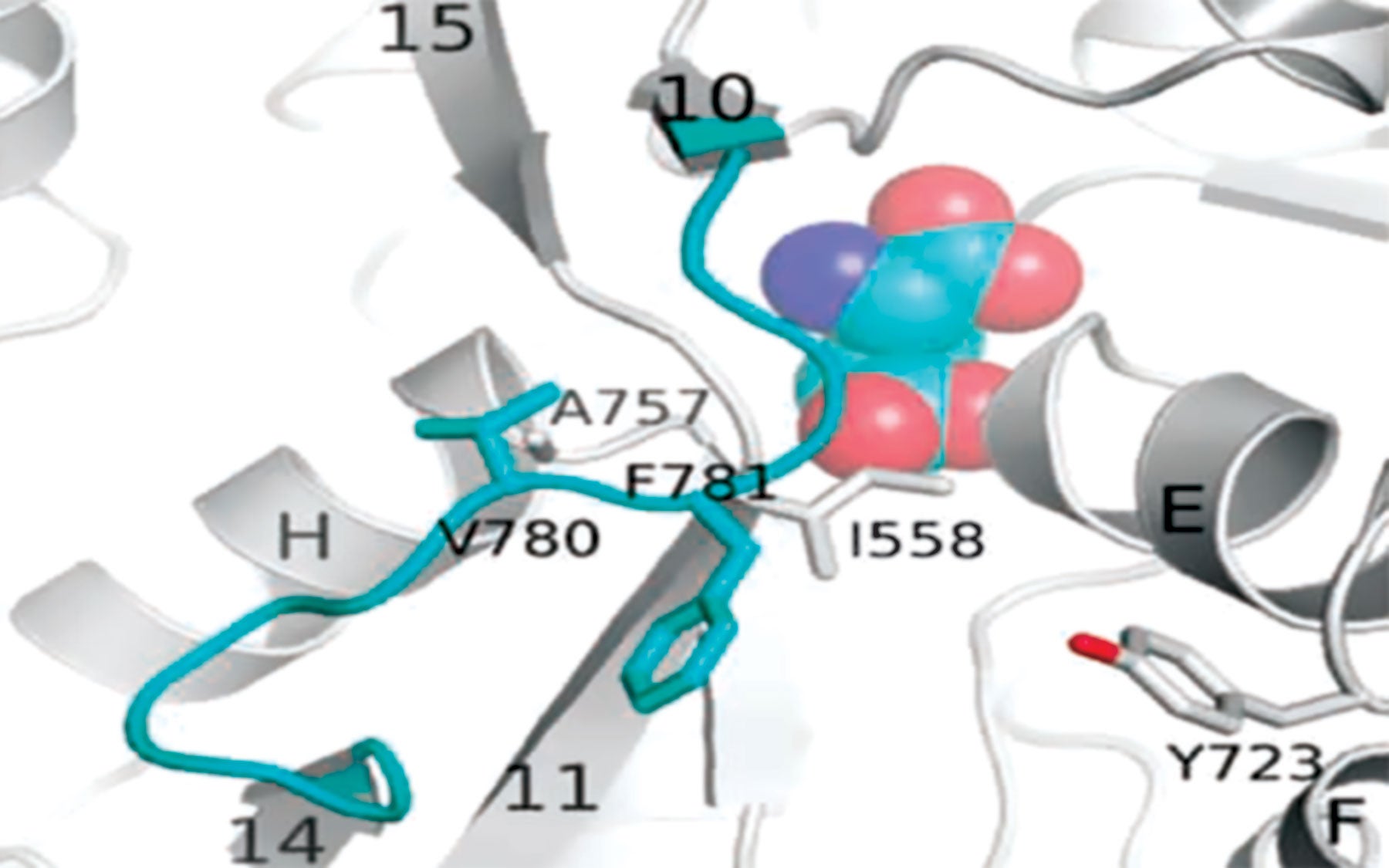 L-glutamate