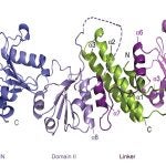 Chp1 Tas3 complex