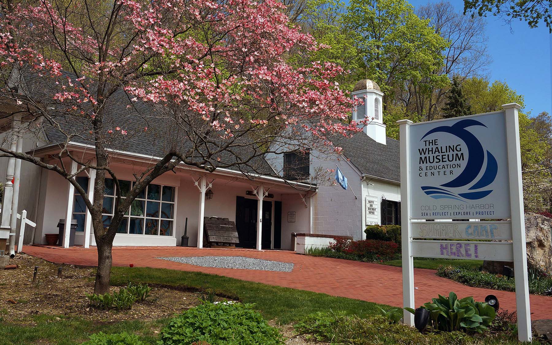 Whaling Museum Cold Spring Harbor