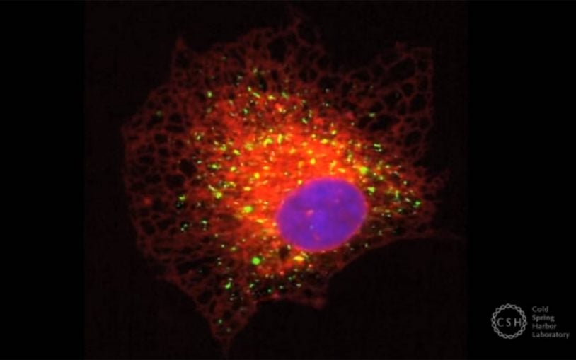 Science Shorts: All about fluorescence microscopy