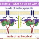 molecular photography