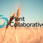 iPlant Collaborative