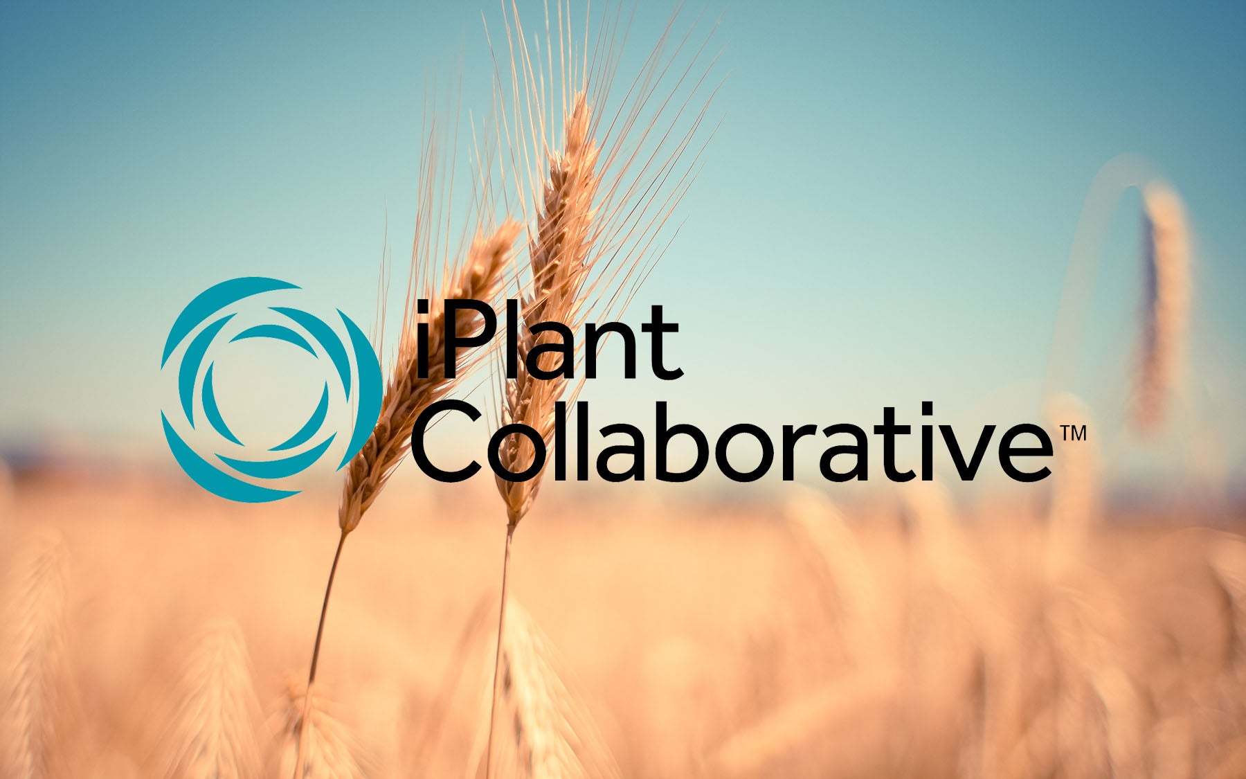 iPlant Collaborative