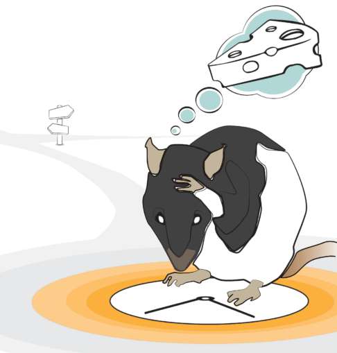 illustration of rat making decision over cheese