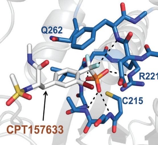 Rett syndrome atomic level