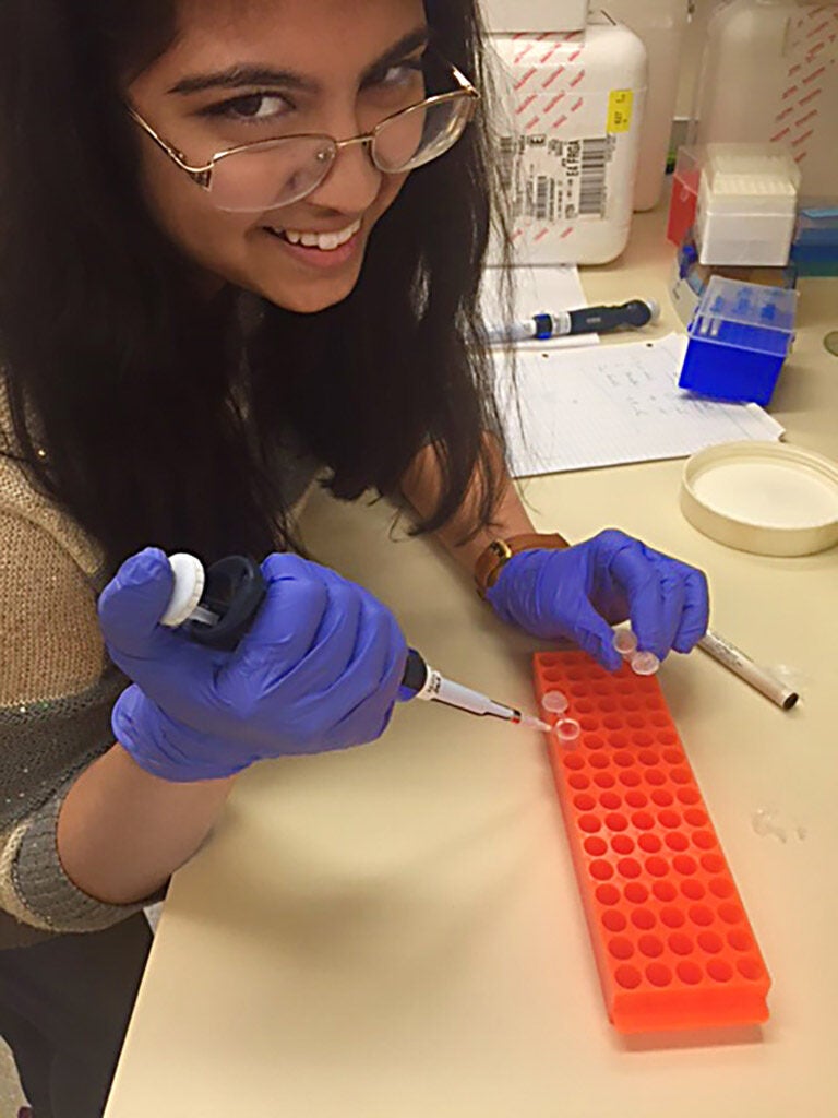Tamanna pipetting in the lab