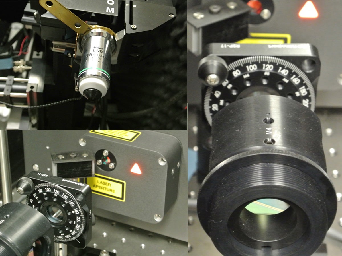 Two-photon laser scanning microscope