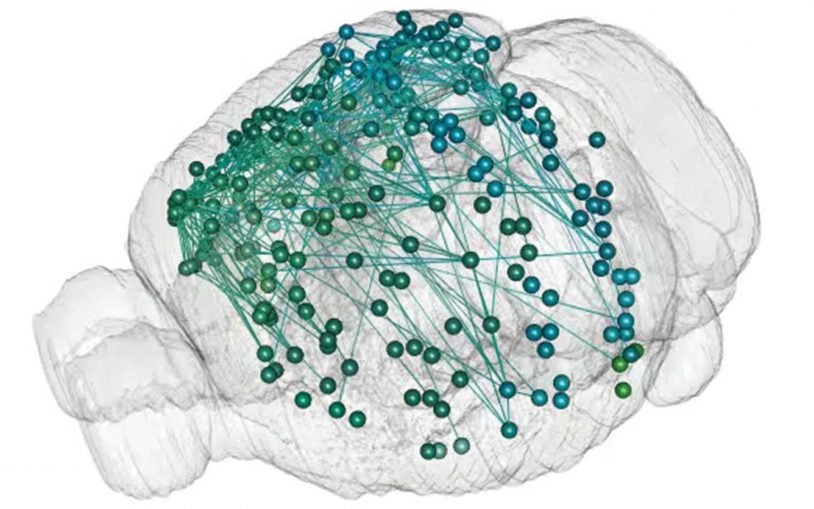 Revolutionary method to map the brain at single-neuron resolution is successfully demonstrated