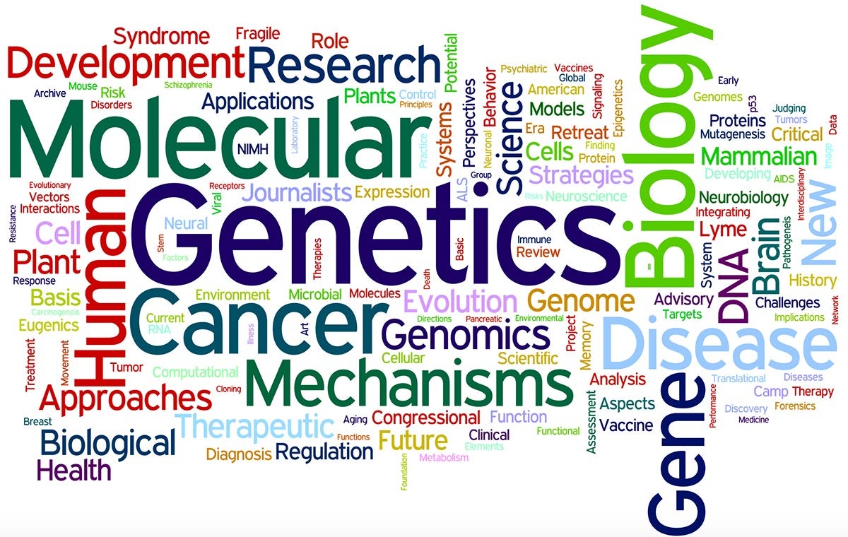 Banbury meeting title word cloud