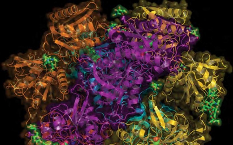 Detailed images of NMDA receptor show how zinc and a potential drug affect its function