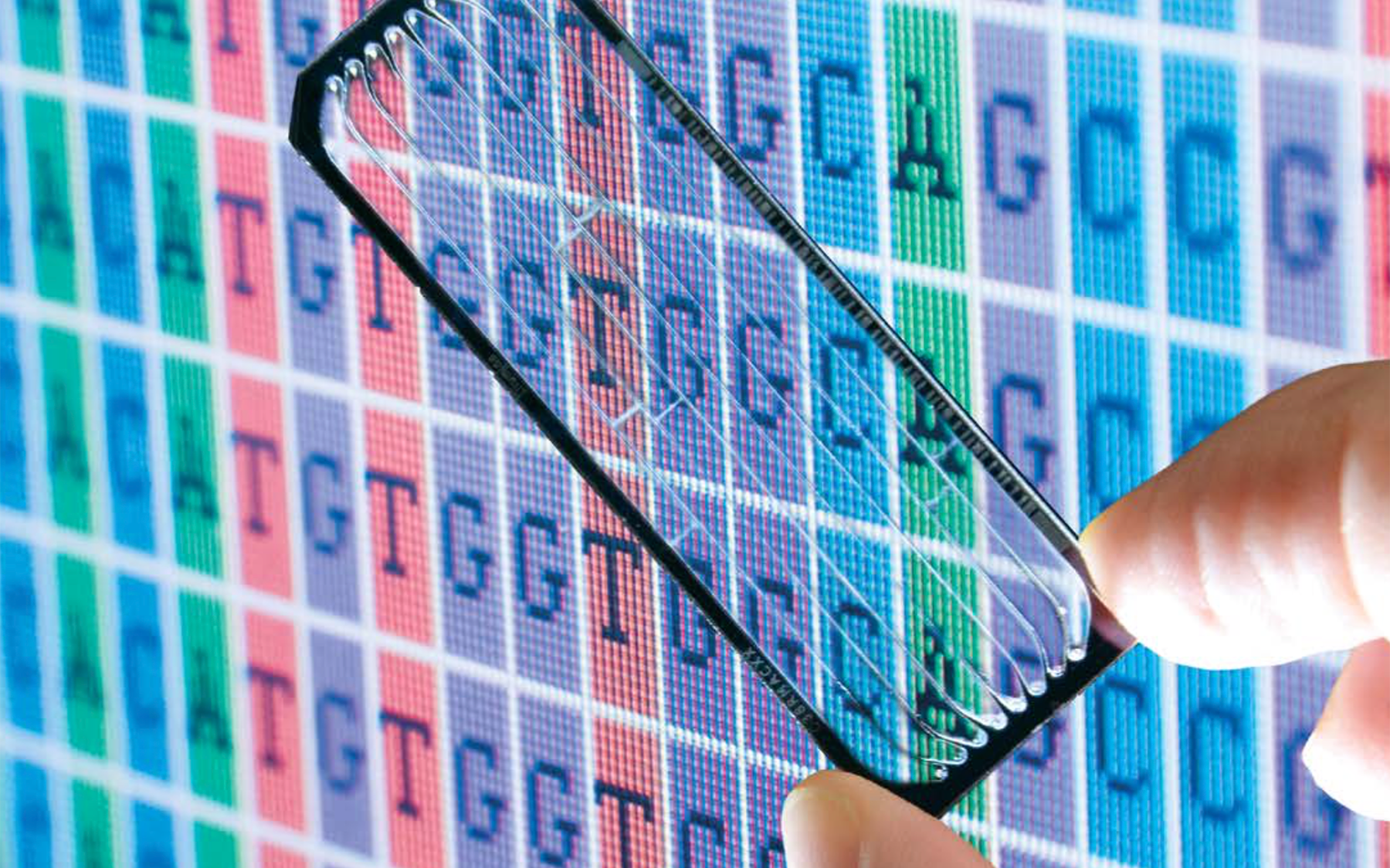 DNA Data Chip