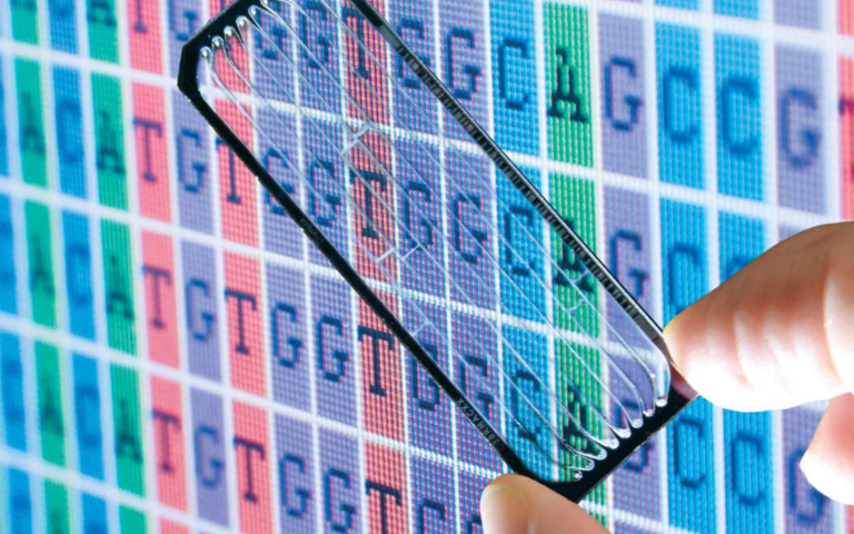 Lab Members  Computational Functional Genomics Laboratory