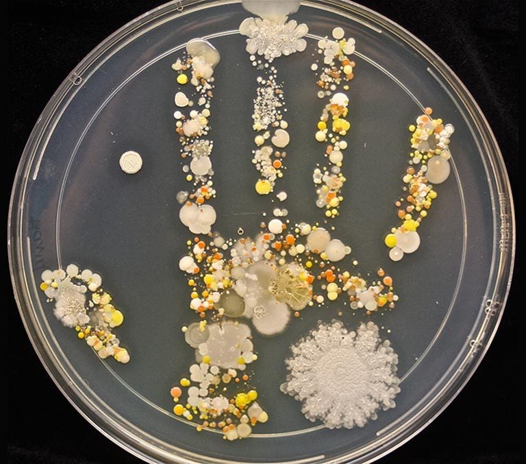 Petri dish hand print