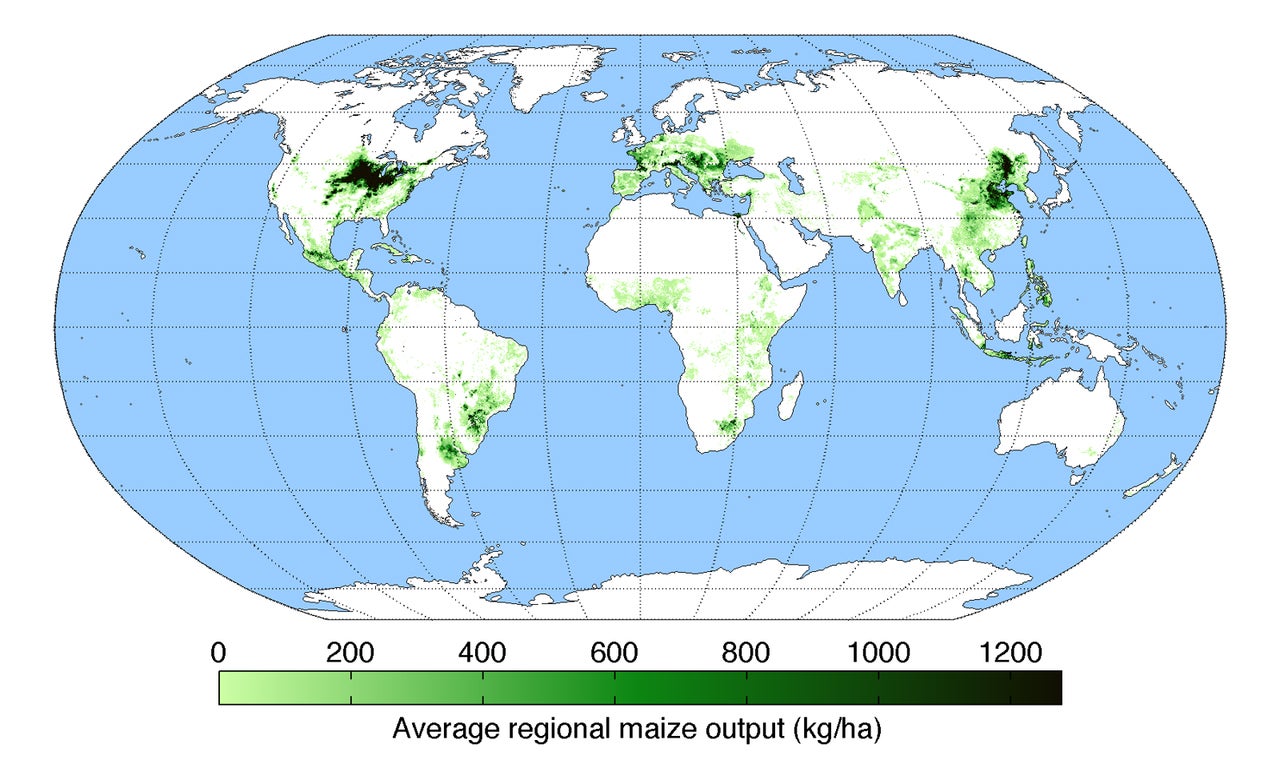 Detailed new 'reference' genome for maize shows the plant has deep