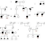 psychiatric phenotypes