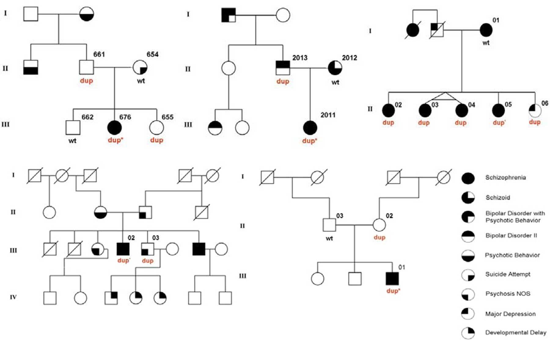 psychiatric phenotypes