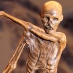 photo of Otzi