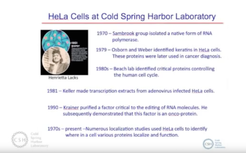 Henrietta Lacks and HeLa Cells: Impact on biological research and informed consent