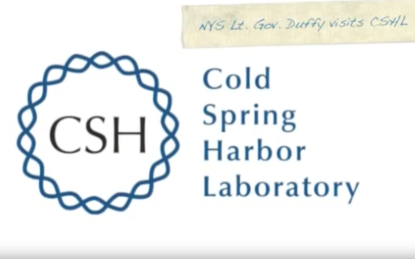 New York State Lieutenant Governor Duffy visits CSHL