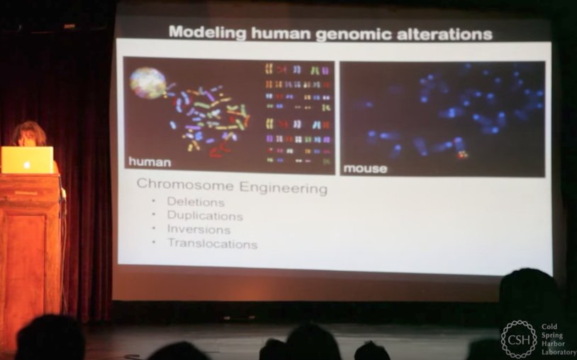 Where will the future of genetic engineering take us?