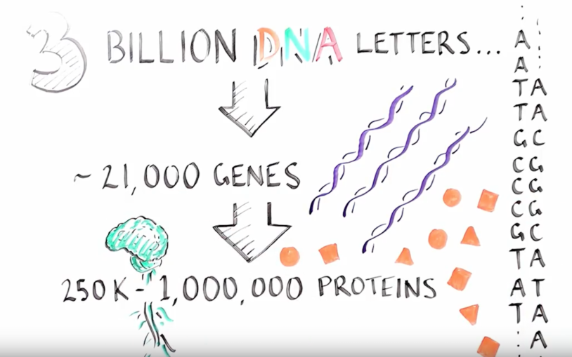 Just what is RNA splicing?