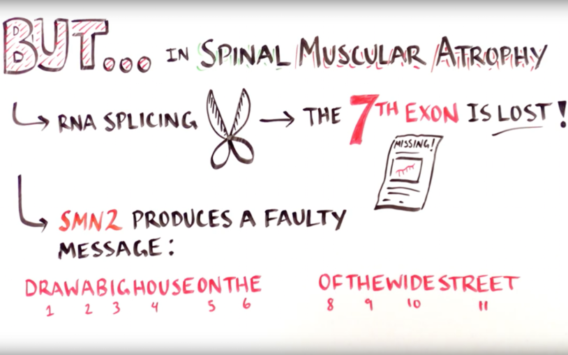 SMA and the drug that fights it, explained