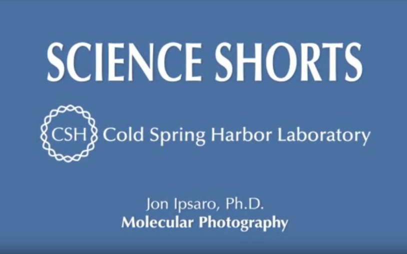 Molecular Photography by Jon Ipsaro, Ph.D.