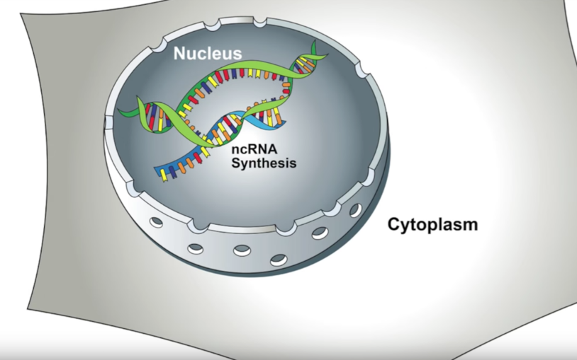 Unusual drug target generates exciting results in mouse models of metastatic breast cancer