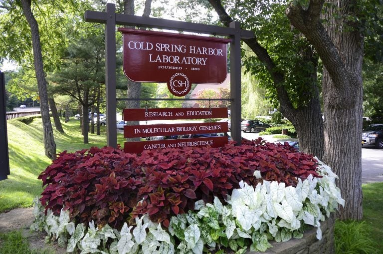 CSHL entrance sign