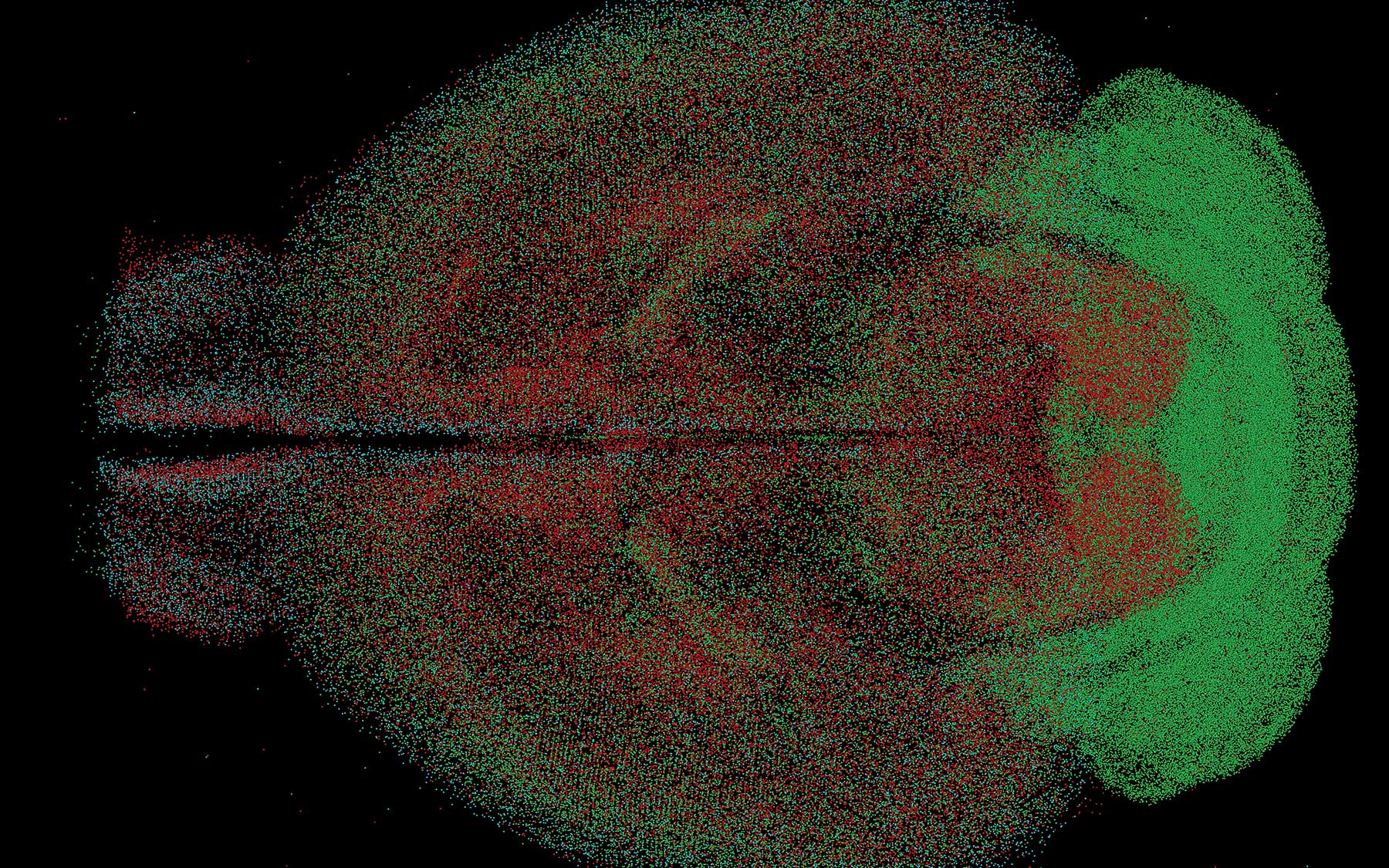 inhibitory cell types, expressing neuropeptides