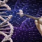 genetic manipulation