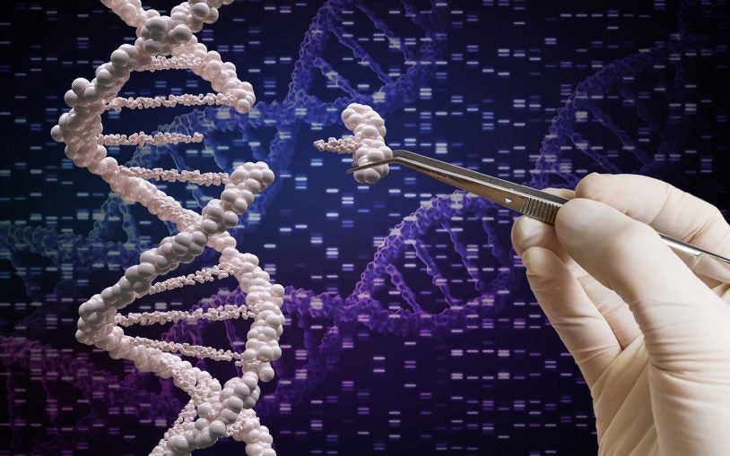 The year of CRISPR