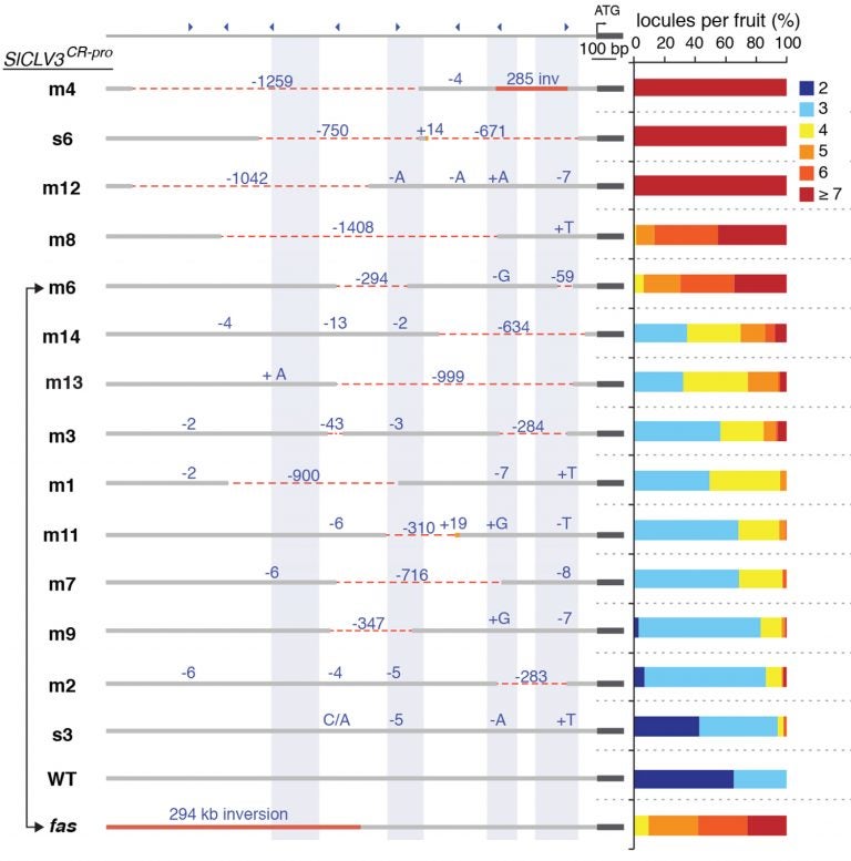 DNA mutations plot