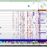 diagnostic prostate biopsy results