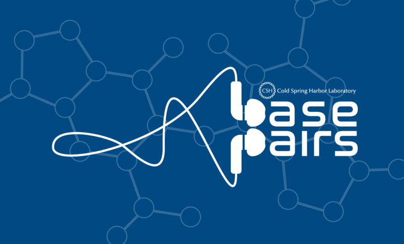 graphic of BasePairs logo