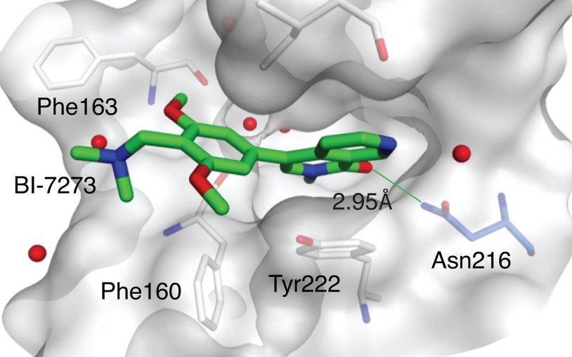 candidate drug BI-7273