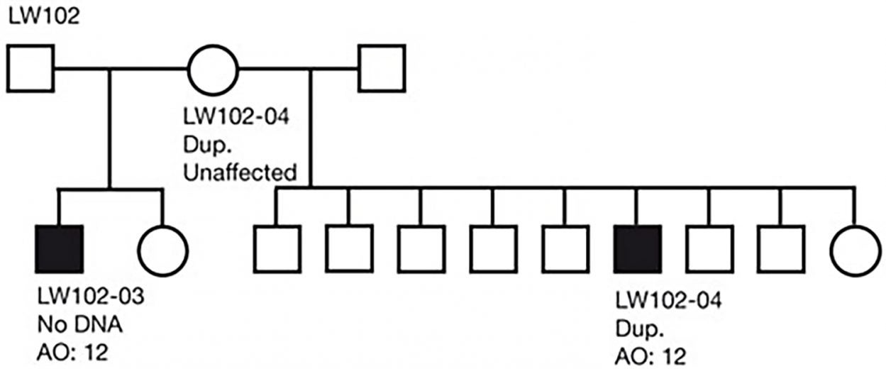 pedigree diagram