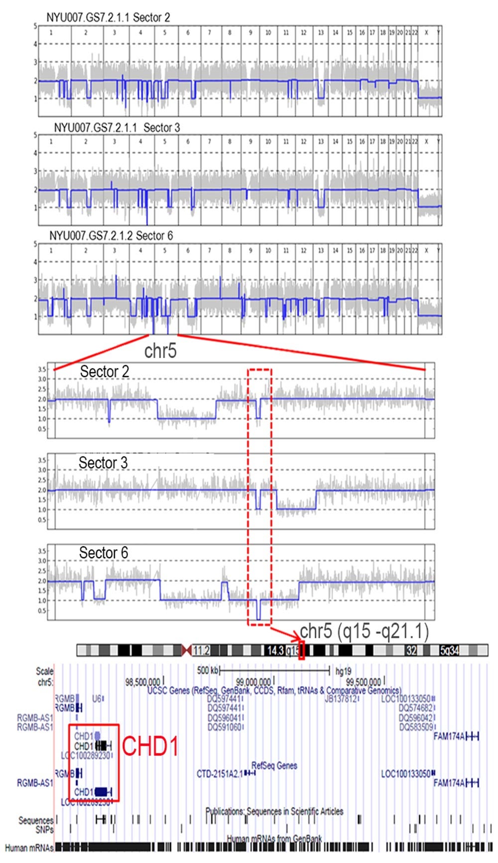 prostate graphs