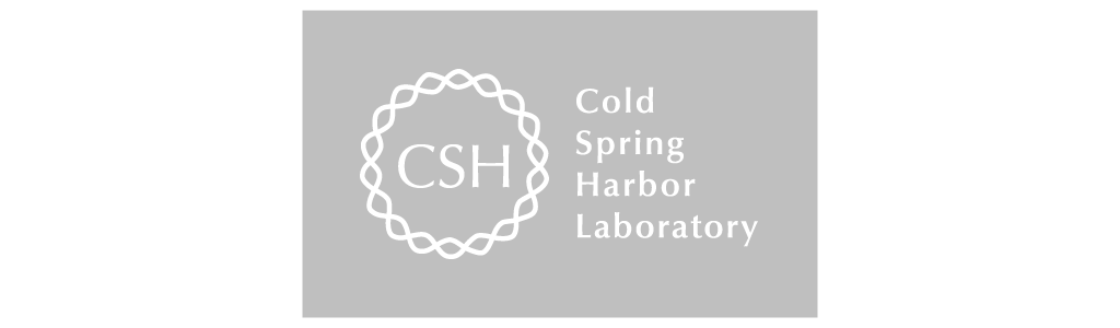 Alternate logo