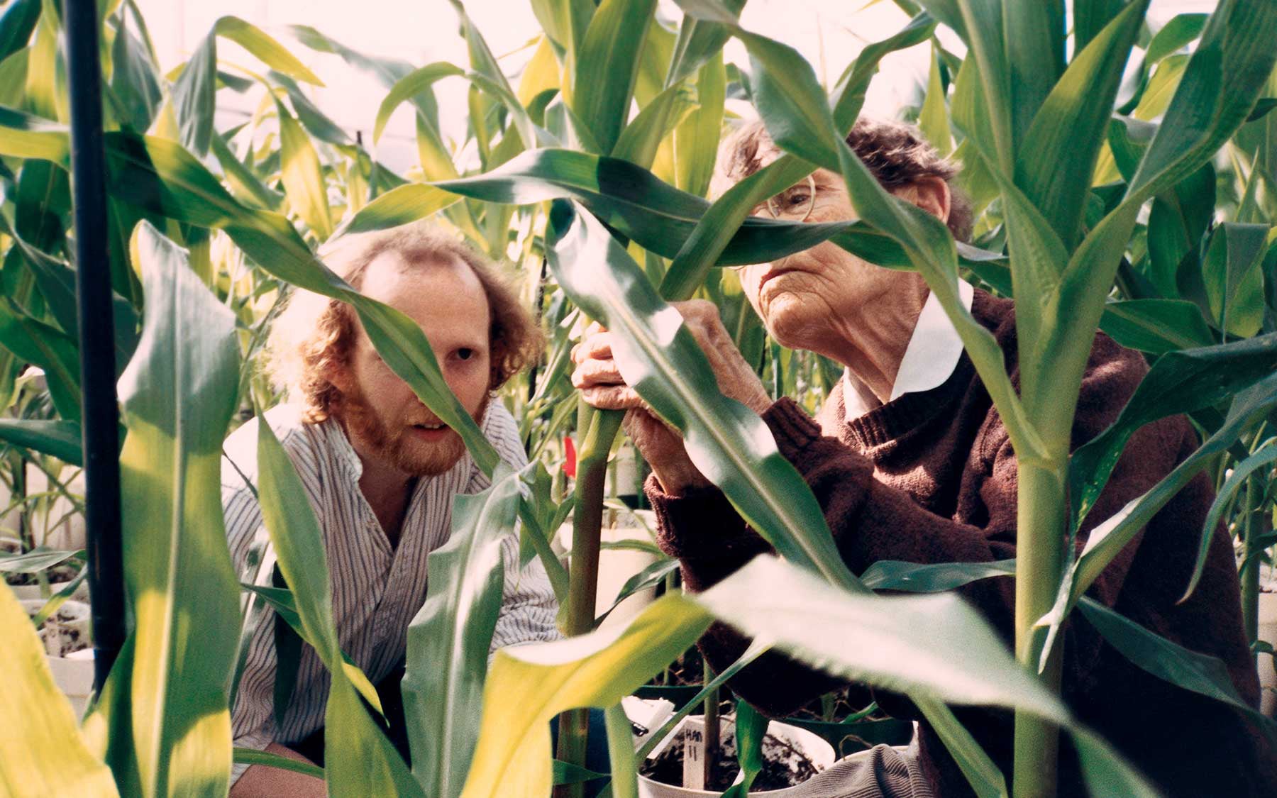 Rob Martienssen and Barbara McClintock