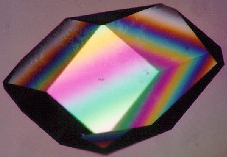 lysozyme crystal