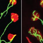 one experiment Winter 2016