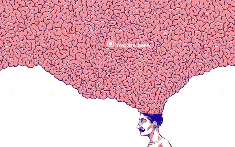 The brain atlas