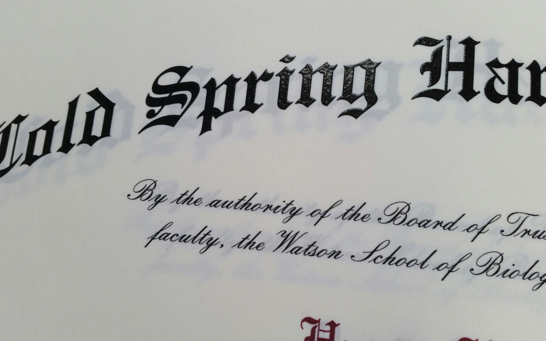 photo of WSBS diploma