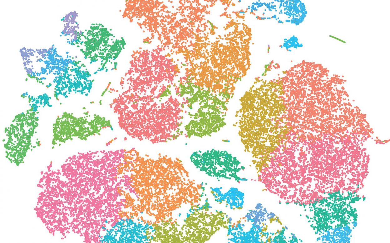 Cancer and Genomics Cold Spring Harbor Laboratory