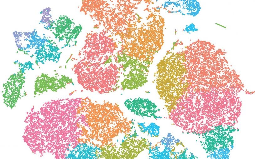 Cancer and Genomics Cold Spring Harbor Laboratory